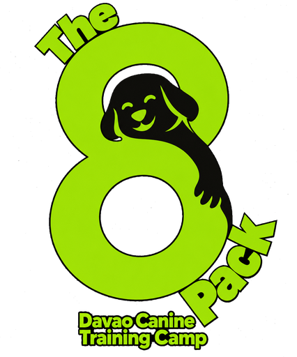 the8pack.com logo
